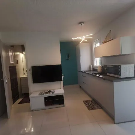 T2 Climatise Proche Avec Parking - Fr-1-607-109 * Agde