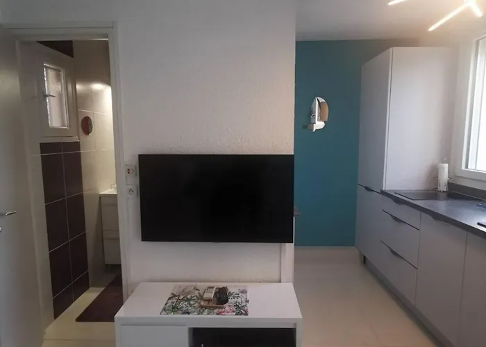 Διαμέρισμα T2 Climatise Proche Avec Parking - Fr-1-607-109 Agde